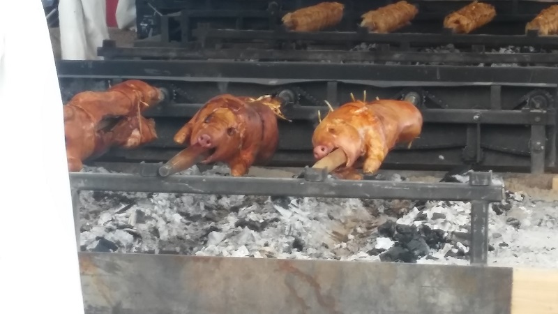 GermanFest2015 2b